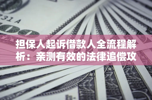 济南担保人起诉借款人全流程解析：亲测有效的法律追偿攻略