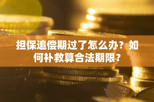 济南担保追偿期过了怎么办？如何补救算合法期限？