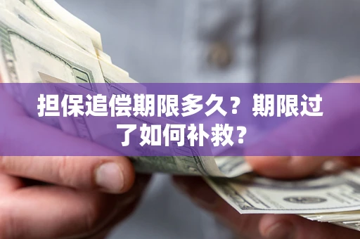 济南担保追偿期限多久？期限过了如何补救？