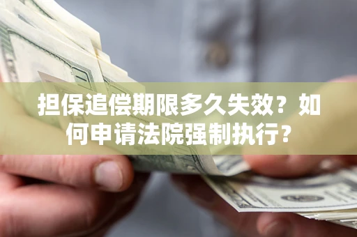 济南担保追偿期限多久失效？如何申请法院强制执行？
