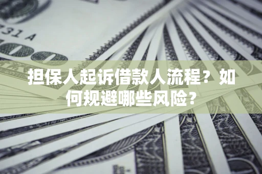 济南担保人起诉借款人流程？如何规避哪些风险？