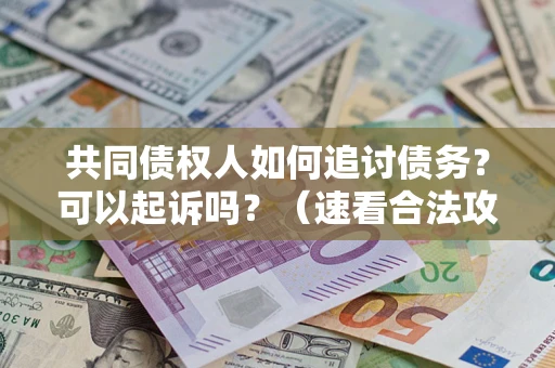 济南共同债权人如何追讨债务？可以起诉吗？（速看合法攻略）