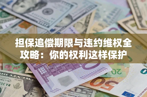 济南担保追偿期限与违约维权全攻略：你的权利这样保护